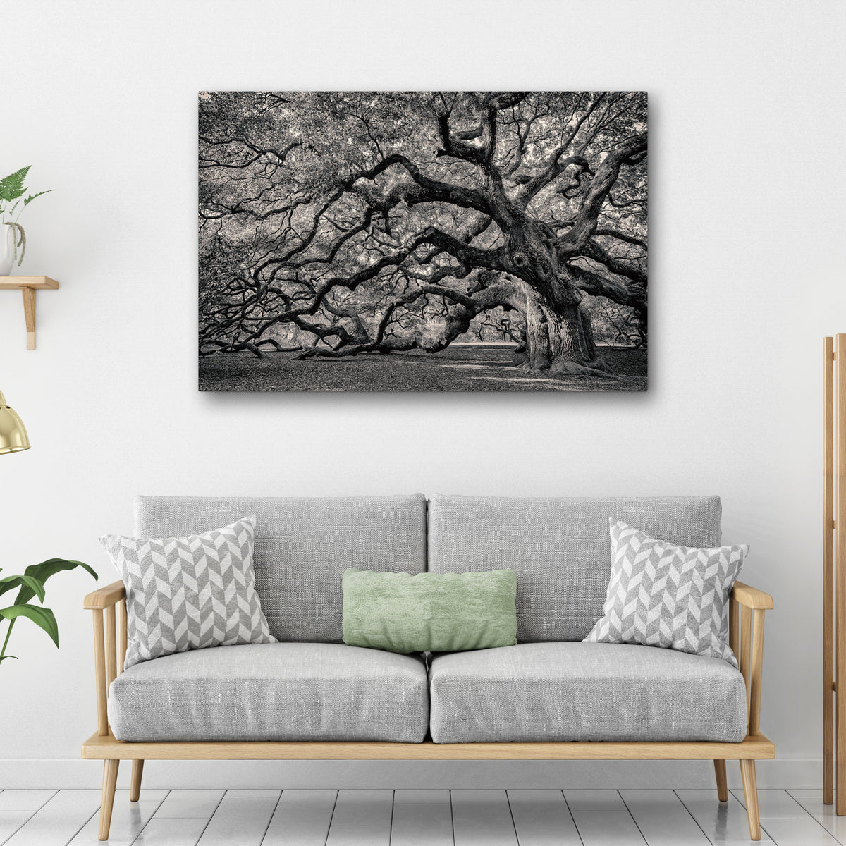 Monochrome Angel Oak Tree Canvas Wall Art